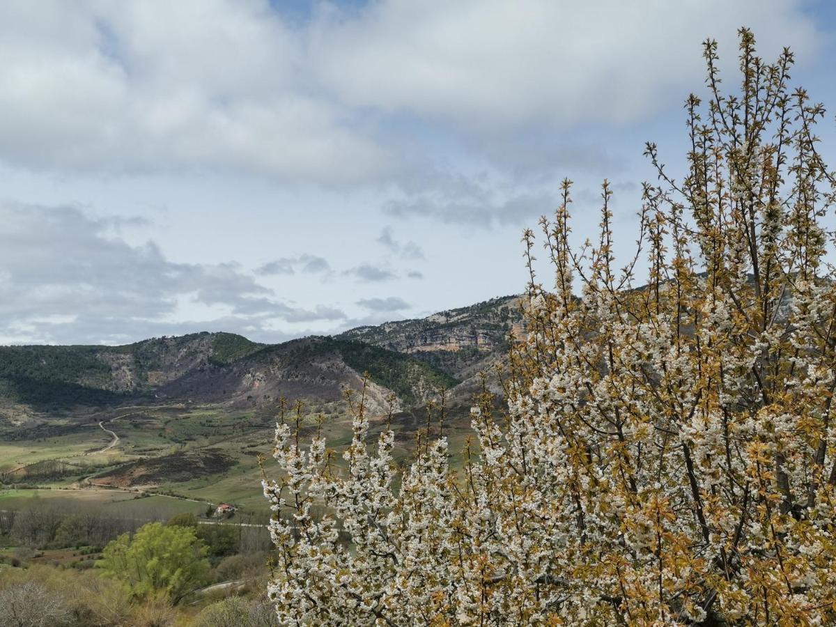 Casa Rural Castellanos Huelamo Екстер'єр фото